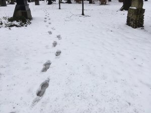 Einsame Fußspuren im Schnee