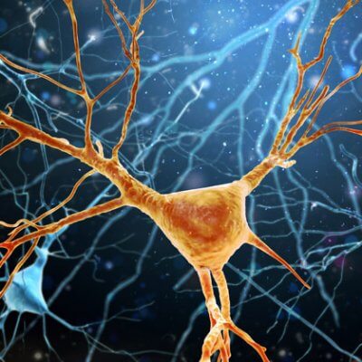 Entstehung von Neuronen im Hirn. Foto: K.E.N./istock